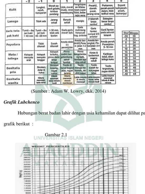 Langkah-langkah Manajemen Asuhan Kebidanan