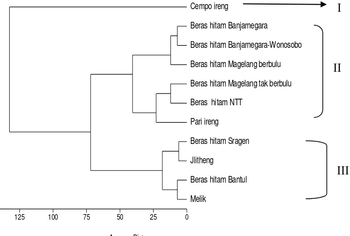 Gambar 1. Dendogram hasil pengelompokan berdasarkan parameter warna L*, a*, dan b* serta kandungan antosianin total pada 11 kultivar padi beras hitam lokal  