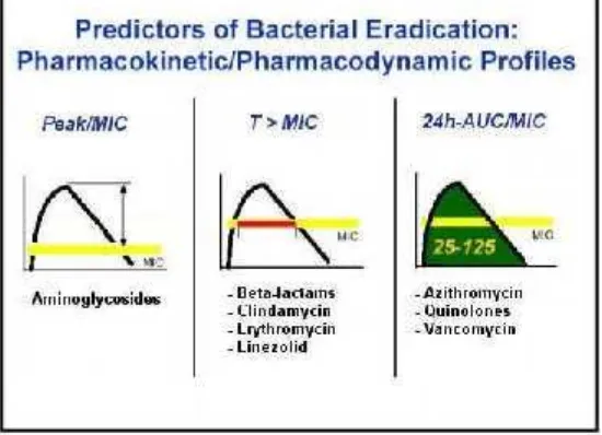 Gambar 2. Pola Aktivitas Antibiotika berdasarkan Profil PK/PD