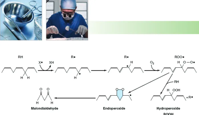 Gambar. �e�oksidasi lipid1