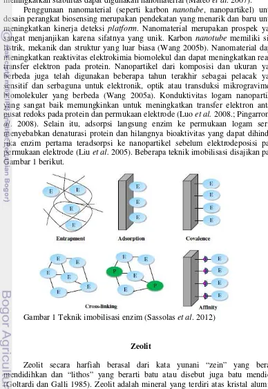 Gambar 1 Teknik imobilisasi enzim (Sassolas et al. 2012)    