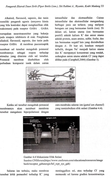 Gambar 4.4 Mekanisme Efek Sedasi