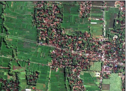 Gambar 1 Citra Ikonos daerah Bantul setelah terjadi gempa bumi 