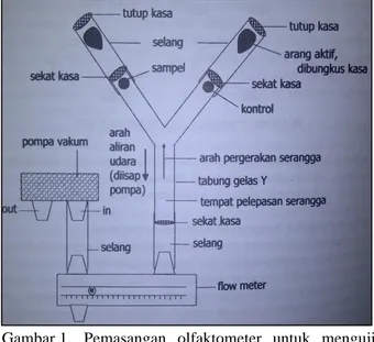 Gambar 1.  Pemasangan  olfaktometer  untuk  menguji  repelen  dan  atraktan  (Sumber:  Dadang  dan  Prijono 2008) 