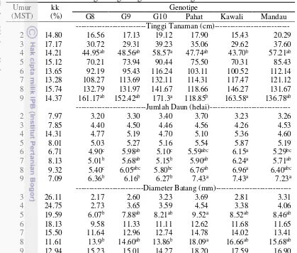 Tabel 1 Pertumbuhan vegetatif galur-galur mutan sorgum manis 