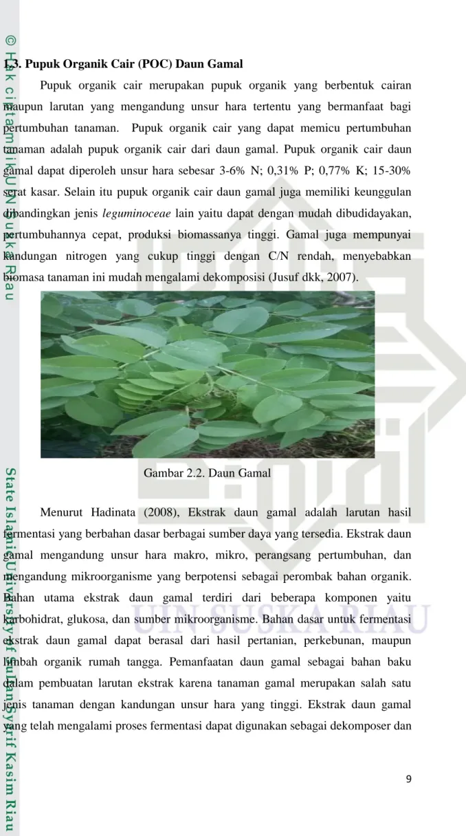 Gambar 2.2. Daun Gamal 