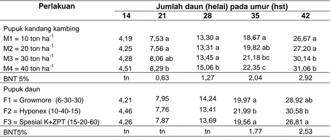 Tabel 2 Jumlah daun (helai) buncis pada berbagai umur pengamatan 