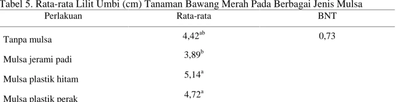 Tabel 5. Rata-rata Lilit Umbi (cm) Tanaman Bawang Merah Pada Berbagai Jenis Mulsa