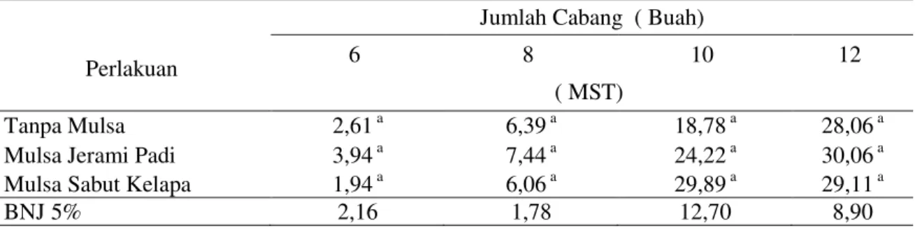 Tabel 4. Rata-Rata Jumlah Cabang Cabai Rawit (Buah) pada Pemberian Jenis Mulsa 
