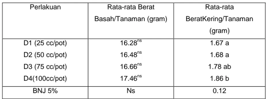 Tabel 8.  Rata-rata Berat Basah dan Berat Kering Akar/Tanaman (gram)                    Terhadap Perlakuan Populasi Tanaman per Pot