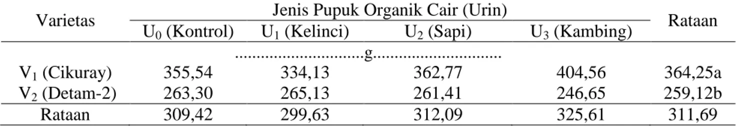 Tabel  4.  Bobot  kering  biji  per  plot  pada  perlakuan  varietas  dan  aplikasi  pupuk    organik  cair  urin    ternak