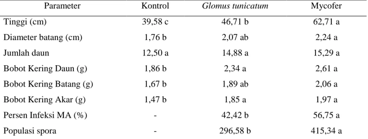 Tabel 1.  Pengaruh mikoriza arbuskula terhadap parameter pertumbuhan jambu mente (6  BST) dan perkembangan MA 