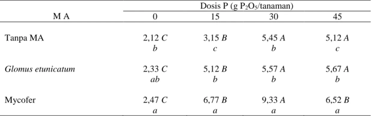 Tabel 3.  Pengaruh interaksi MA dan dosis pupuk P terhadap tinggi tanaman jambu mente  