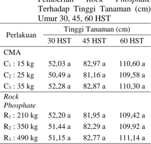 Tabel  1.  Pengaruh  Inokulasi  Cendawan  Mikoriza  Arbuskula  dan  Pemberian  Rock  Phosphate  Terhadap  Tinggi  Tanaman  (cm)  Umur 30, 45, 60 HST 