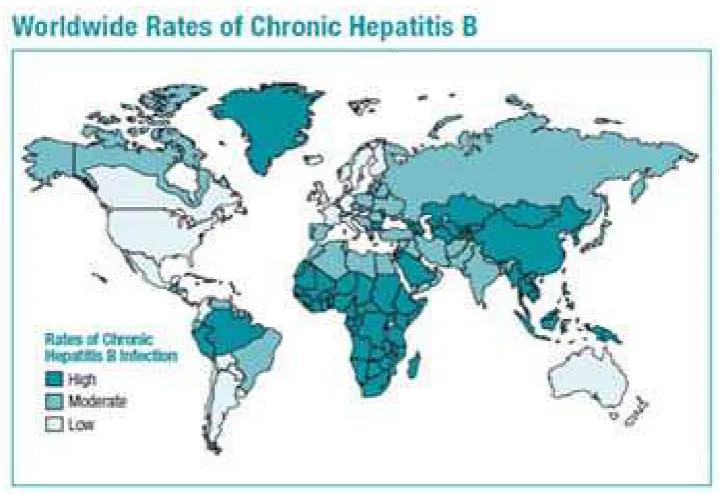 Gambar 2.3 Epidemiologi Hepatitis B Kronik 