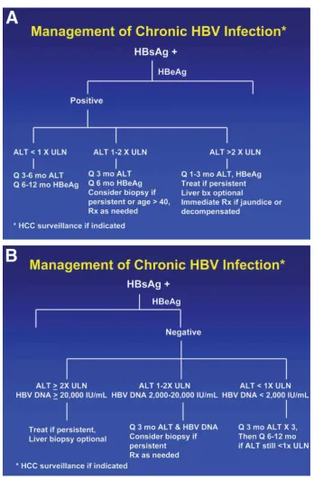 Gambar 2.3 Algoritma Penatalaksanaan Hepatitis B Kronik  