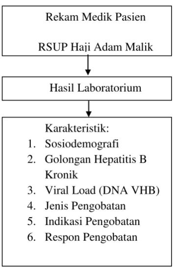Gambar 4.1. Bagan kerangka operasional 