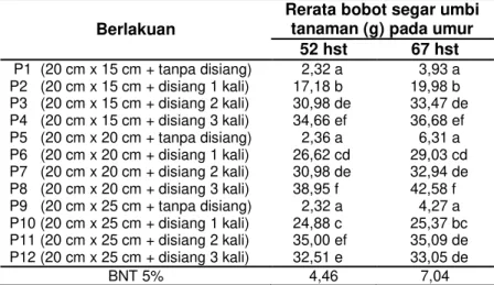 Tabel  6  Rerata  Bobot  Segar  Umbi  Pada  Berbagai  Frekuensi  Penyiangan  Gulma  dan  Jarak 