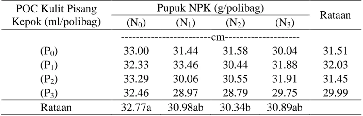 Tabel  1.  Tinggi  Tanaman  Bawang  Merah  Umur  6  MST  pada  Perlakuan        Pemberian Pupuk NPK dan POC Kulit Pisang Kepok