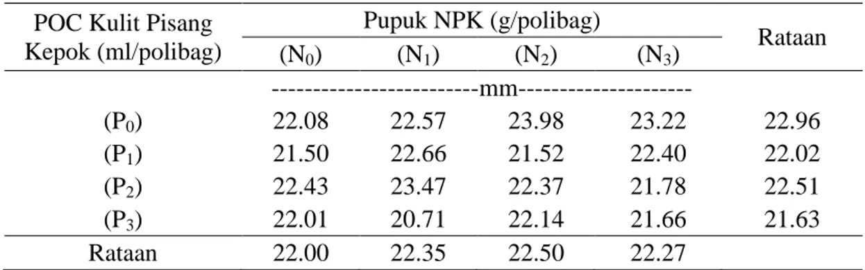 Tabel 4. Diameter Umbi Tanaman Bawang  Merah  pada  Perlakuan  Pemberian    Pupuk NPK dan POC Kulit Pisang Kepok