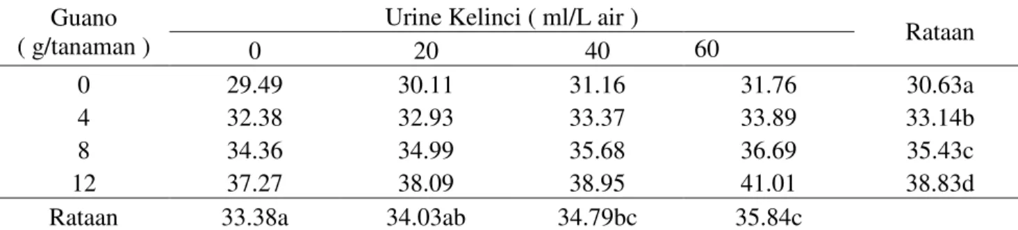 Tabel  1.  Tinggi  tanaman  sawi  (  cm  )  pada  pada  pemberian  Guano  dan  urine  kelinci  pada  umur              4 MST