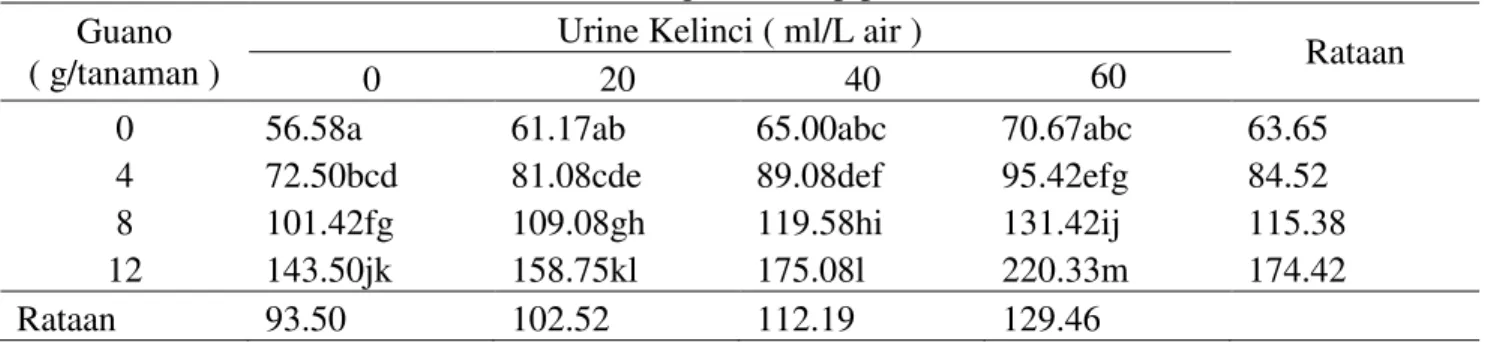 Tabel 4. Rataan bobot basah tanaman ( g ) terhadap pemberian Guano dan urine kelinci  Guano 
