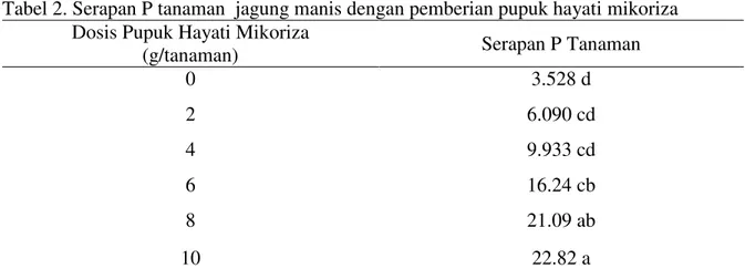 Tabel 2. Serapan P tanaman  jagung manis dengan pemberian pupuk hayati mikoriza  Dosis Pupuk Hayati Mikoriza 