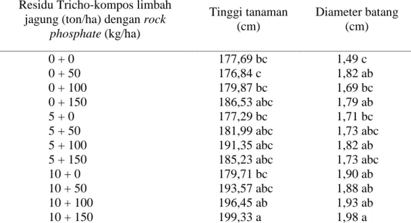 Tabel 2. Rata-rata Tinggi tanaman dan diameter batang (cm) jagung manis dari residu kombinasi Tricho-kompos limbah jagung dengan rock phosphate Residu Tricho-kompos limbah
