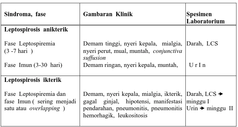 Tabel  2.1  :  Perbedaan  gambaran  klinik  leptospirosis  anikterik  dan  ikterik  
