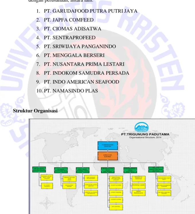 Gambar 4   Struktur Organisasi 