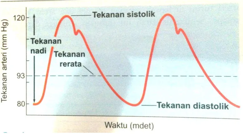 Gambar 1. Tekanan Darah Arteri 8 