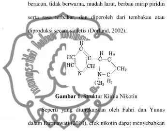 Gambar 1. Struktur Kimia Nikotin  