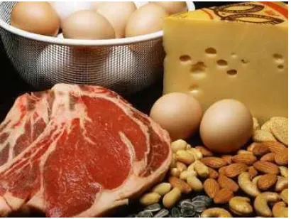 Gambar Makanan Mengandung Protein 
