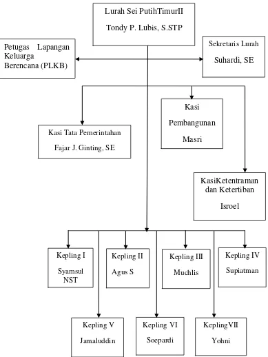 Gambar 4.1 Struktur Organisasi Kelurahan Sei Putih Timur II 