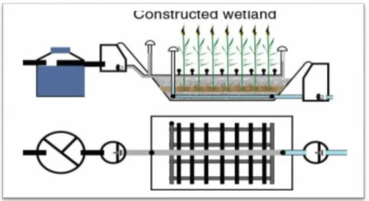 Gambar 4.2 Constructed wetlands 