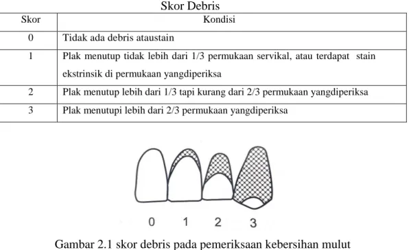 Tabel 2.2  Skor Debris 