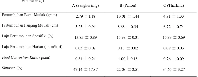 Tabel 3. Parameter Pertumbuhan Berbagai Strain Lele Dumbo (Clarias gariepinus) selama 56 hari Pemeliharaan 