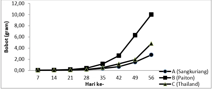 Gambar 5. Histogram Pertumbuhan Berat Mutlak Strain Benih Ikan Lele Dumbo 