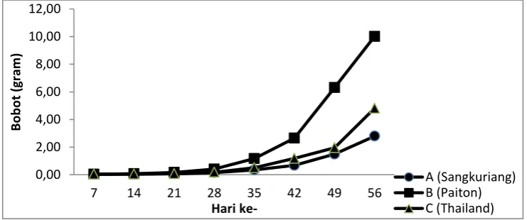 Gambar 5. Histogram Pertumbuhan Berat Mutlak Strain Benih Ikan Lele Dumbo 