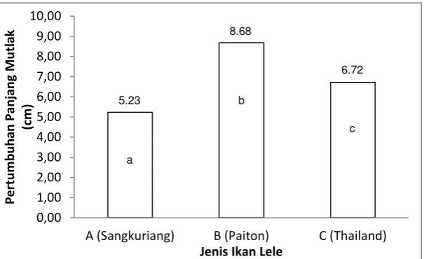 Gambar 7. Histogram Pertumbuhan Panjang Mutlak Strain Benih Ikan Lele Dumbo 