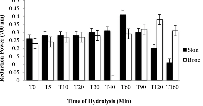 Figure 4.  Reducing power of hydrolysate from Skin and bone of Pangasius catfish Bars represent the standar deviation from triplicate determinations