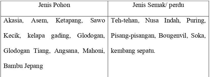 Tabel 4.1: Daftar Jenis Pohon dan Semak Di wilayah Bandar Udara Ahmad Yani Semarang.  
