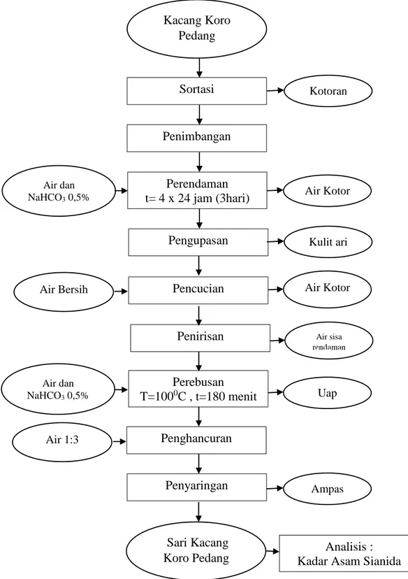 Gambar 3. Diagram Alir Pembuatan Sari Kacang Koro. Sumber : Yodita, 2012 