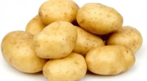 Gambar 2.3 Kentang  (Solanum Tuberosum) 