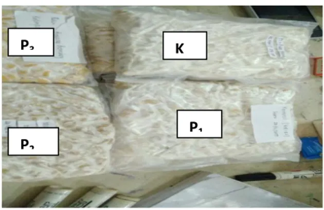 Gambar 2. Sampel tempe “ rasa” searah jarum  jam, K, P1, P2 dan P3 berturut –turut tempe  (kontrol),  tempe rasa bawang; tempe rasa bawang bombay dan tempe segar bumbu kari