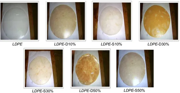 Gambar 3. Poliblend bioplastik (sumber: dokumentasi pribadi) 