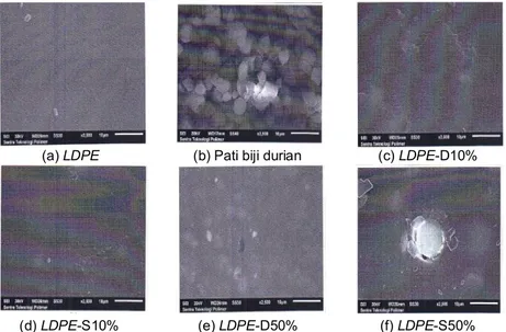 Gambar 10. Struktur morfologi LDPE, pati biji durian, dan bioplastik 