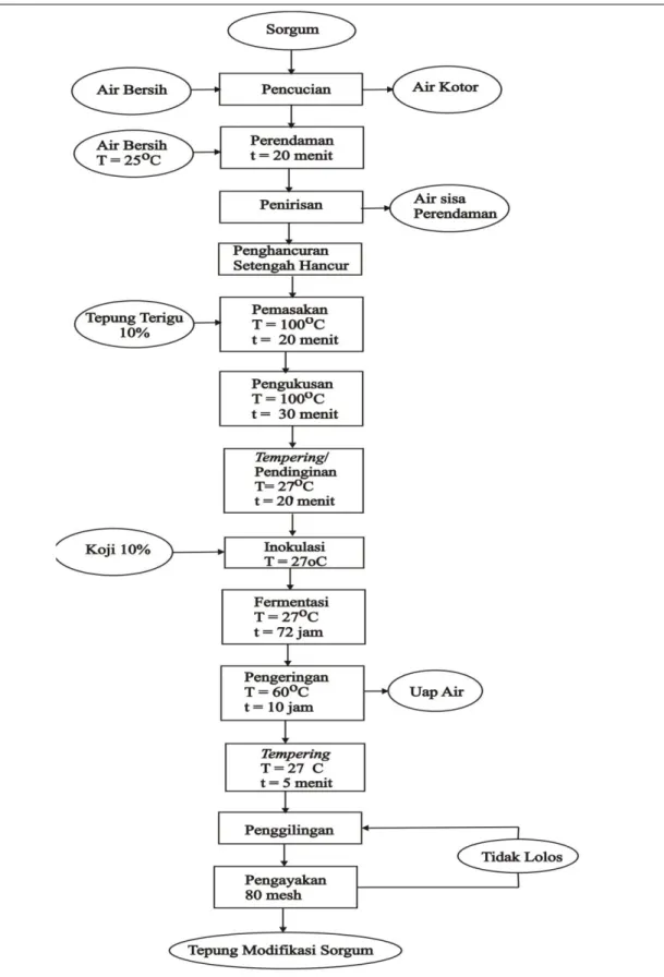 Gambar 4. Diagram Alir Penelitian Pendahuluan Proses Pembuatan Tepung  Sorgum Termodifikasi 