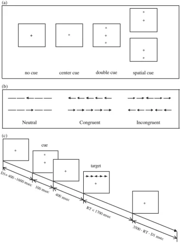 Gambar 4. Prosedur attention network test (ANT). 