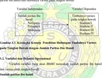 Gambar 3.1. Kerangka Konsep  Penelitian Hubungan Timbulnya Varises 